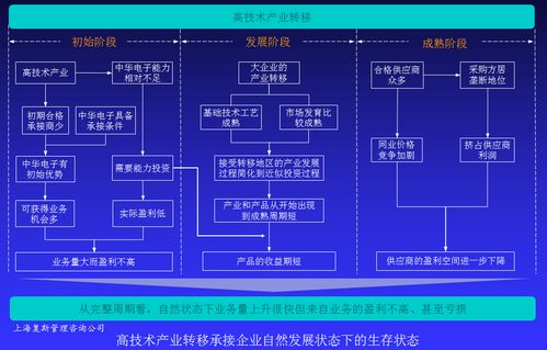 高技術(shù)產(chǎn)品企業(yè)盈利能力提升案例Ⅳ 以戰(zhàn)略咨詢?yōu)榛c，驅(qū)動技術(shù)賦能與價值變現(xiàn)