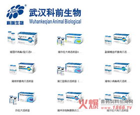 適應(yīng)新局共創(chuàng)未來——科前動(dòng)物生物召開營(yíng)銷與技術(shù)服務(wù)工作交流會(huì)報(bào)道